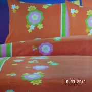 SAM_3221