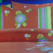 SAM_3222