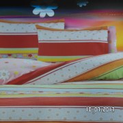 SAM_3223