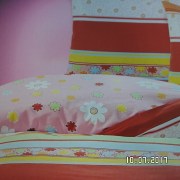 SAM_3224