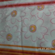 SAM_3225