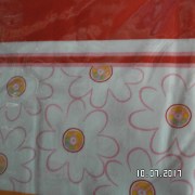 SAM_3226