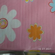 SAM_3229