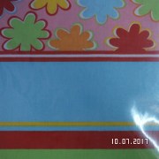 SAM_3231