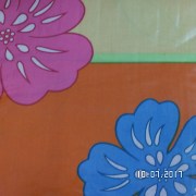 SAM_3232