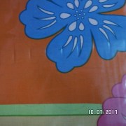 SAM_3233