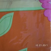 SAM_3234