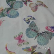 SAM_3247