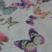 SAM_3248