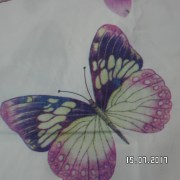 SAM_3249