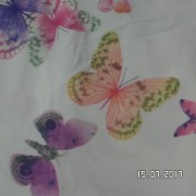 SAM_3250