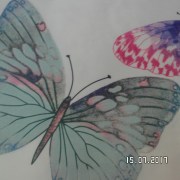 SAM_3251