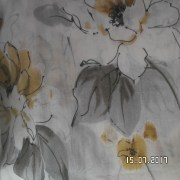 SAM_3259