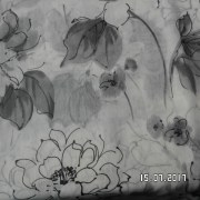 SAM_3263
