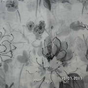 SAM_3265