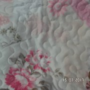 SAM_3315