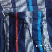 SAM_3399