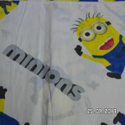 SAM_3404