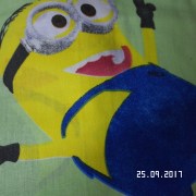 SAM_3407