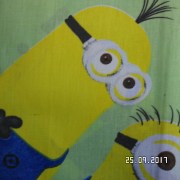 SAM_3409