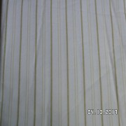 SAM_3527