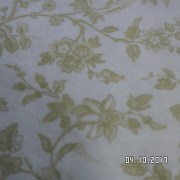 SAM_3530