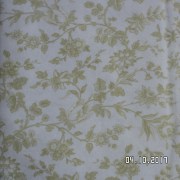 SAM_3532