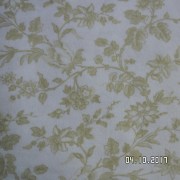 SAM_3533