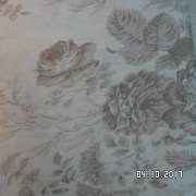 SAM_3537