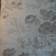 SAM_3538