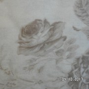 SAM_3541
