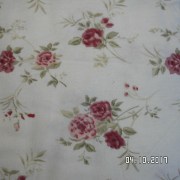 SAM_3543