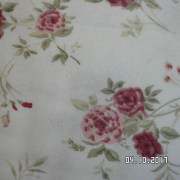 SAM_3544