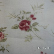SAM_3547