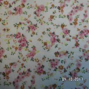 SAM_3557