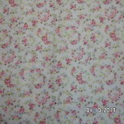 SAM_3559