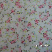 SAM_3560