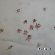 SAM_3562