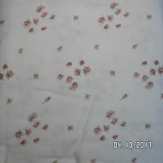 SAM_3563
