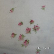 SAM_3564