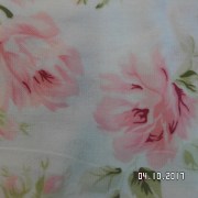 SAM_3569