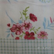 SAM_3579