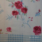 SAM_3580