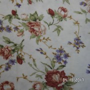 SAM_3584