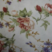 SAM_3585