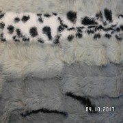 SAM_3595