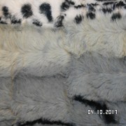 SAM_3596