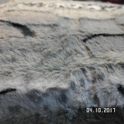 SAM_3597
