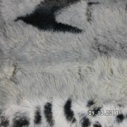 SAM_3603