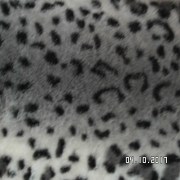 SAM_3613